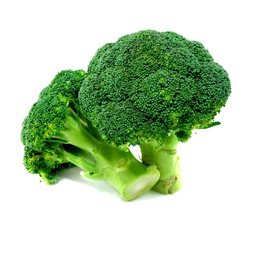Broccoli (Single flower)